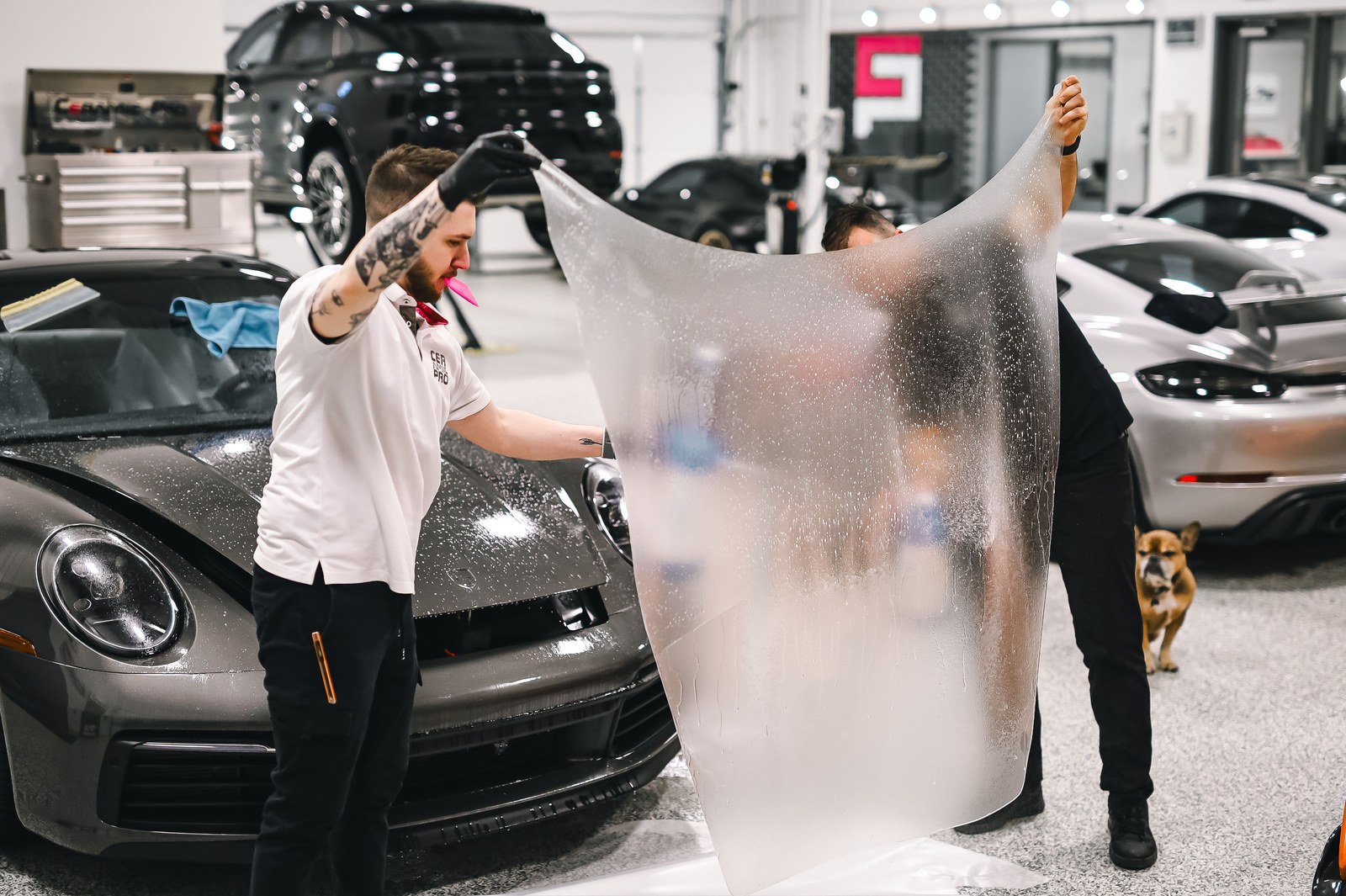 Glossy vehicle finish protected with paint protection film and ceramic coating